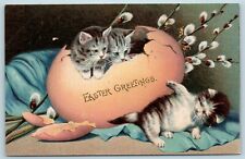 Postcard Easter Fantasy Cats Kittens Exaggerated Egg 1906 Langsdorf? AA10 picture