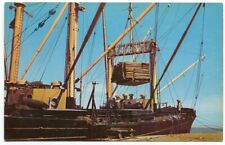 Ocean Freighter Ship Loading Soy Bean at Southern Texas Port Postcard picture