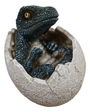 Jurassic Era Predator Velociraptor Hatchling Egg Dinosaur Figurine Collectible picture