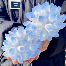 2.2LB New Find Blue Phantom Quartz Crystal Cluster Mineral Specimen Healing. picture