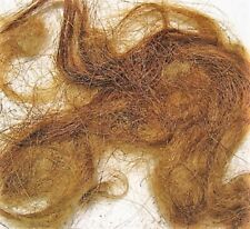 WOOLLY MAMMOTH REAL FUR HAIR WOOLY PERMAFROST BONE RUSSIAN WOOL MASTODON EXTINCT picture