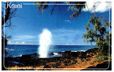 The Spouting Horn Kauai Hawaii Postcard Posted 1990 picture