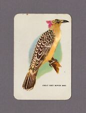 Vintage Woolworths Swap Card / Great Grey Bower Bird Grey Coloured Blank Back picture