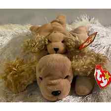 Rare PVC Spunky the Dog Beanie Baby with Teenie Beanie.  mwmt INVESTMENT QUALITY picture