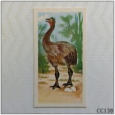 Brooke Bond Prehistoric Animals #32 Aepyornis Tea Card (B) (CC138) picture