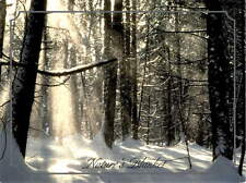 Nature, Blanket, American Parkinson Disease Association, Inc., New York Postcard picture
