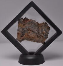 MICROBIAL MAT, Dresser Fmt, Stromatolite, North Pole Dome 47 grams, S800 picture