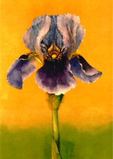 ACEO Print Bearded Iris Deep Purple Frilly with Orange Accents Flower picture