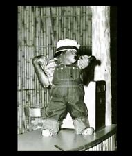 Vintage Funny Monkey Drinking Beer PHOTO Circus Chimpanzee, Costume Freak Creepy picture