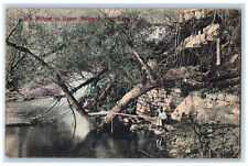 1909 Willow on Upper Millpond Glen Cove Long Island New York NY Postcard picture