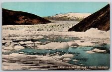 Postcard Taku Glacier On Taku Inlet Alaska Unposted picture