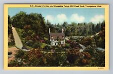 Youngstown OH-Ohio, Mill Creek Park, Horseshoe Curve, Antique Vintage Postcard picture