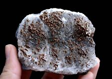 136g Natural Beautiful Calcite & Pyrite Complete Mineral Specimen/  China picture