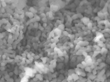 300 nm High Purity 99.99% Alpha Aluminum Oxide Nanoparticles picture
