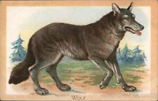 The Wolf Tuck Antique Postcard Vintage Post Card picture