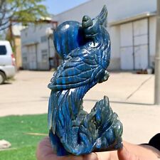 374g Natural and beautiful Labrador crystal handcrafted phoenix therapy picture