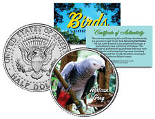 AFRICAN GREY BIRD Colorized JFK Half Dollar US Coin PARROT with Bright Red Tail picture