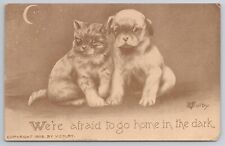 Sepia Kitten Puppy Afraid to Go Home in Dark Moon Signed V. Colby 1911 Postcard picture