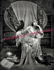 8x10 HD Reprint Vintage 1920's Art Deco Style Fortune Teller Woman Raven & Cat  picture