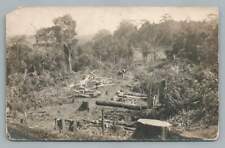 Deforestation Logging Scene PHILIPPINES Photo RPPC Antique Postcard 1910s picture