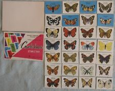 28 RUSSIAN LABELS Card Match Box Butterfly Fly Insect Soviet Fly Flight USSR Old picture