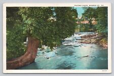 Postcard Pocono Creek Monroe Co. Pennsylvania c1920 picture