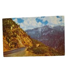 Postcard Sequoia National Park Sierra Nevada Union Oil Company Chrome Unposted picture