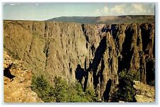 c1960 Black Canyon Gunnison River Montrose Colorado CO Vintage Unposted Postcard picture