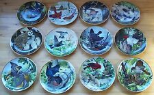 Complete Plate Set Lot of 12 THE NATIONAL AUDUBON SOCIETY Plates A.J. Rudisill picture