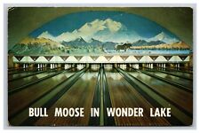 Alaskan Lanes Bowling Bull Moose in Wonder Lake, Fairbanks Alaska AK Postcard picture