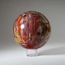 Polished Petrified Wood Sphere from Madagascar (5.5