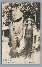 RPPC Large Sea Bass Fishing PASS CHRISTIAN MS Mississippi Real Photo Postcard picture