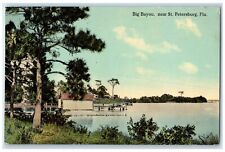 c1910 Big Bayou Exterior River Lake St. Petersburg Florida FL Vintage Postcard picture