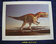 Acrocanthosaurus Dinosaur, Species A. atokensis - Color Print picture