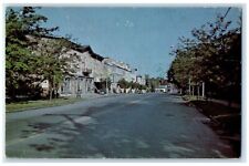 1931 Business Section Road Street Building Of Skaneateles New York NY Postcard picture