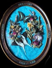 Real Taxidermy W/ Butterflies And DayMoth Ornate Convex Glass Frame Cottagecore  picture