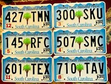 VERY COLORFUL SOUTH CAROLINA GRAPHIC LICENSE PLATE WITH PALMETTO TREE AND SLOGAN picture