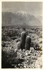 Frashers RPPC; Devil's Cactus Garden CA & Mt. San Jacinto, Riverside County picture