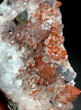 183g Natural Red Quartz Crystal Geode Cluster&Chalcopyrite  h58 picture