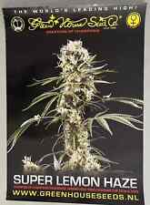 Vintage marijuana poster Amsterdam GreenHouse Coffeeshop High Times Cannabis Cup picture