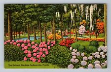 Jacksonville FL-Florida, The Oriental Gardens Vintage Souvenir Postcard picture