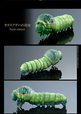 The Diversity of Life on Earth Caterpillar Bandai Gashapon Toys Papilio Dehaanii picture