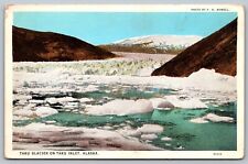 Taku Glacier on Taku Inlet Alaska Photo by FH Nowell 1920s Antique Postcard H12 picture