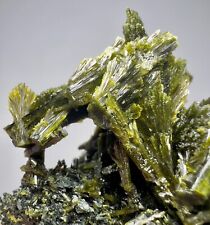 Top Quality Amazing Epidote Crystals Bunch Specimen. Balochistan, PAK 278 GM. picture