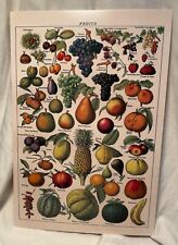 Retro Larousse Pour Tous French Encyclopedia Fruit Illustration Print Postcard picture