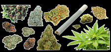 Weed Marijuana Cannabis Vinyl Sticker Bud Pack #1 picture