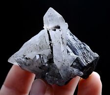 97g Natural Rare Wolframite CRYSTAL CLUSTER Mineral Specimen /Yaogangxian  China picture