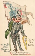 c1910 Nister  Knight Forget Me Nots Armor Valentines Day P464 picture
