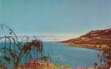 Vintage Chrome Postcard - Israel Sea of Galilee - Mike Roberts picture