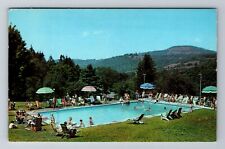 Fleischmanns NY-New York, New Arlington Hotel, Advertising, Vintage Postcard picture